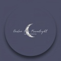 Under the Moonlight
