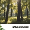 Ruido Blanco Hart、Nature Recordings、Sons De La Nature - La chanson secrète de la nature
