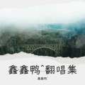 鑫鑫鸭^、dj鑫总 - 叮咚鸡&越打越年轻