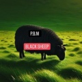 P.B.M - Black Sheep