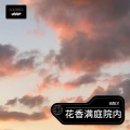 姚智才 - 雨后清新感怀
