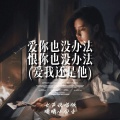 爱你也没办法恨你也没办法 (爱我还是他)(女声说唱版)