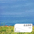 宇天少 - 走走停停