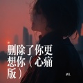 酒儿 - 删除了你更想你