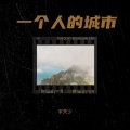 宇天少 - 一个人的城市