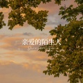 知何、转转z - 亲爱的陌生人