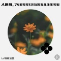 lsf柿柿如意 - 新年希望歌_78275770385505311_1736893260055