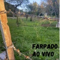 Bruno Seligman de Menezes、Gujo Teixeira、Sabani Felipe de Souza、Filipi Coelho - Farpado