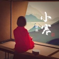 张振 - 虫鸣