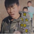 鸿哥 - 某年某月的某一天
