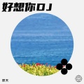 好想你DJ