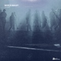 Marco Bailey - Dragon Ball