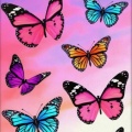 Nicko - butterfly (Explicit)