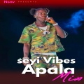 Seyi Vibes - APALA