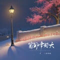 姜雨涵 - 窗外雪好大