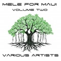 Kenny Tagavilla - Going to Hana Maui