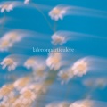 blue.mp3 - laleconparticulere