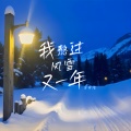 我熬过风雪又一年 (女声版)