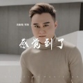 郑琦 - 感觉到了