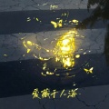 pro - 爱藏于人海