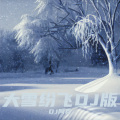 大雪纷飞DJ版