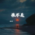 衫大哥 - 谁不是