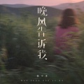 杨不乖 - 晚风告诉我