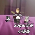 Sugar乐队小猫版