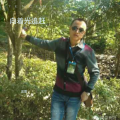 向着光追赶