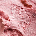 Galdive - Sorbet