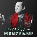 Rahat Fateh Ali Khan - Ishq Ne Pakra Na Tha Ghalib
