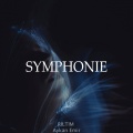 RILTIM、Aykan Emir - Symphonie