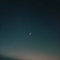 Mobee - Elm