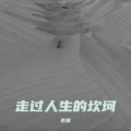 苍狼 - 熬过风雪一年又一年 (DJ版)