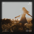 苏寒 - 相思无解