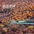单人影 - 如果不经意间你成为别人的力量