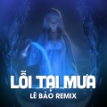 Lỗi Tại Mưa (雨中的错误)(Remix|- Beat)