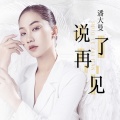 潘大曼 - 说了再见