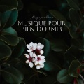 Musique pour Bien Dormir