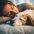 Musica Feliz、RW Cachorro durmiendo、Música para Perros Colecciones - Capas De Ritmo Reparador
