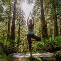 Pensamientos Positivos Maestro、Academica de Música de Yoga y Pilates、Árboles en Llamas - Cadencia De Tonos Fluidos