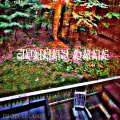 Leland - johnnydang