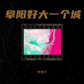 陈保才 - 阜阳好大一个城