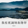 陈保才 - 我在芜湖特别想你