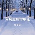 寒风凛冽雪中走