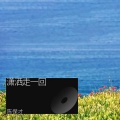 陈保才 - 潇洒走一回