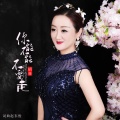 胡菲 - 你能不能不要走