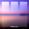 Langford - Fate or Destiny
