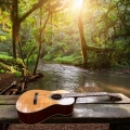 Sonidos Binaurales、Estación tormentosa、Canal Naturaleza sin parar - Legados Musicales Compartidos