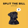 split the bill